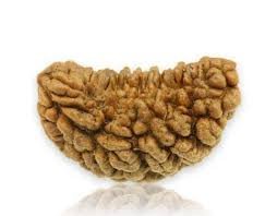 1 MUKHI Kaju (Premium)