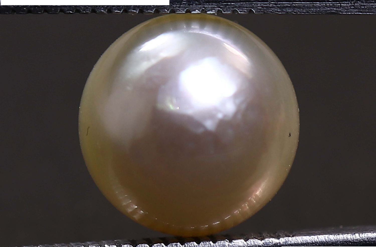 PEARL 4.97 Ct.