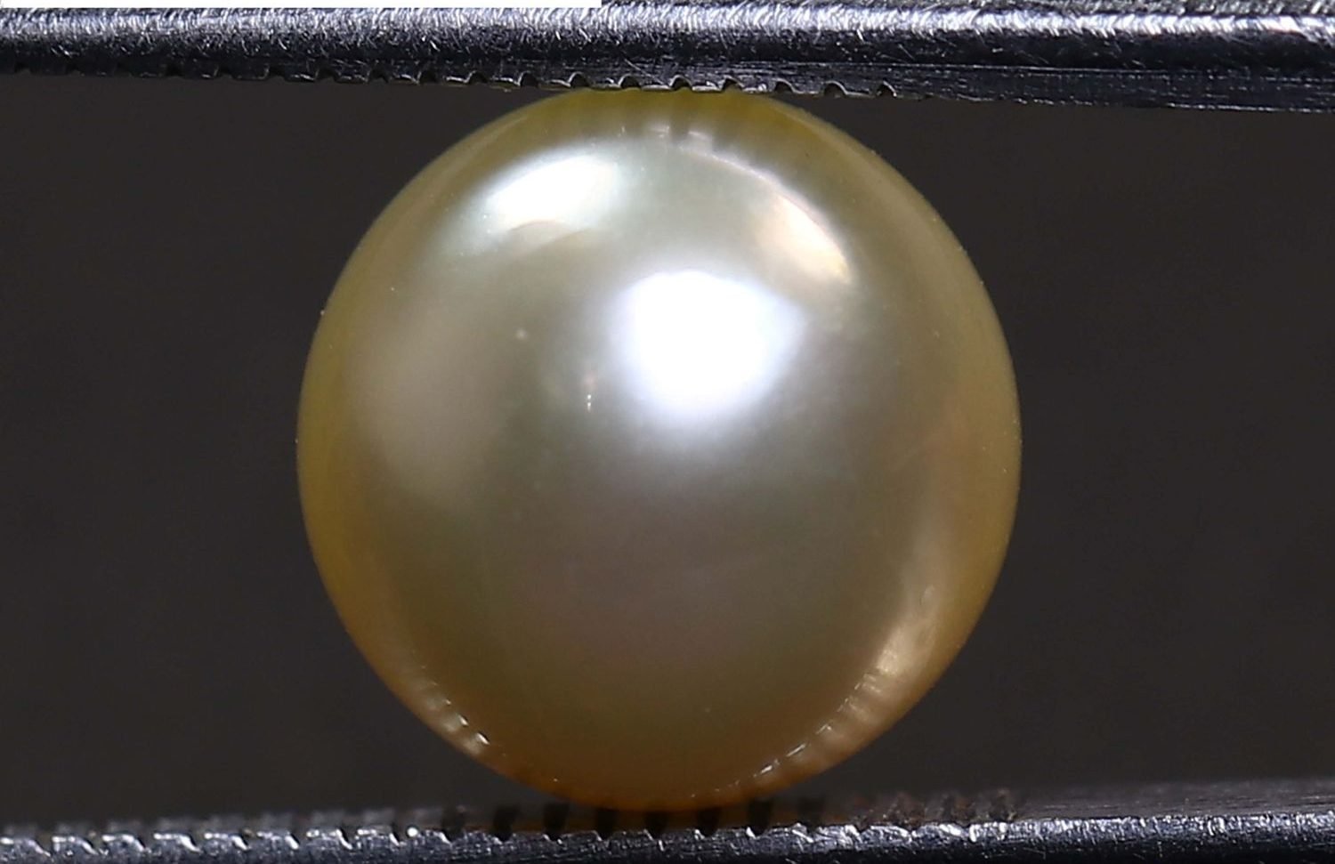 PEARL 5.52 Ct.
