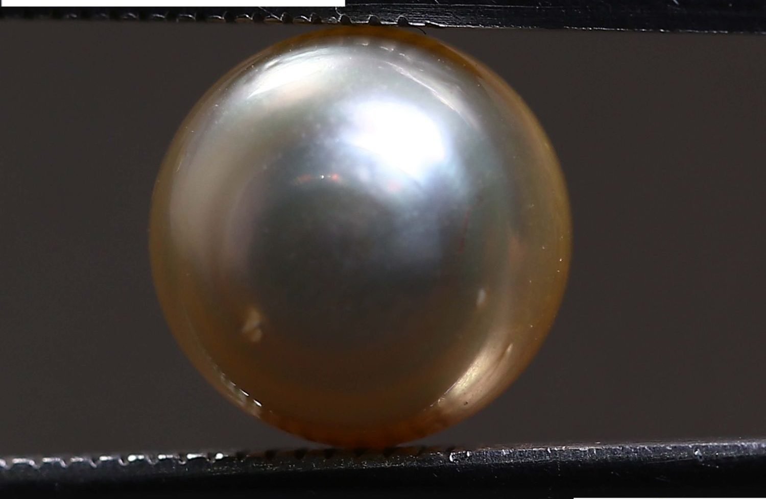 PEARL 5.6 Ct.