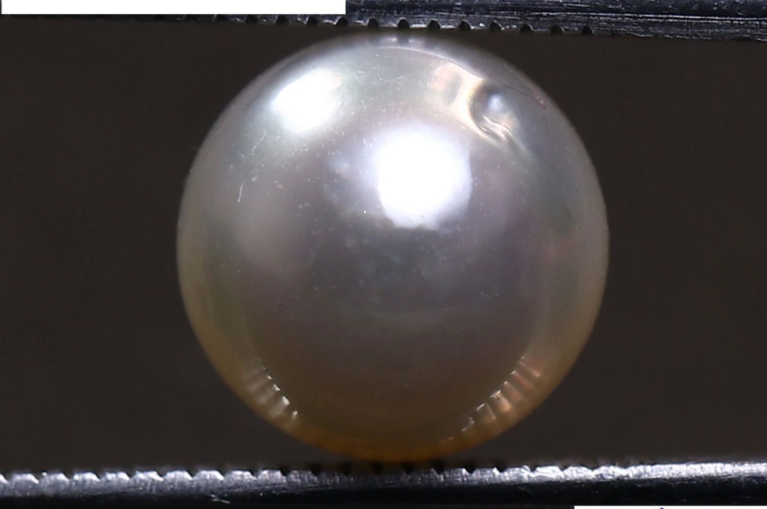 PEARL 5.64 Ct.