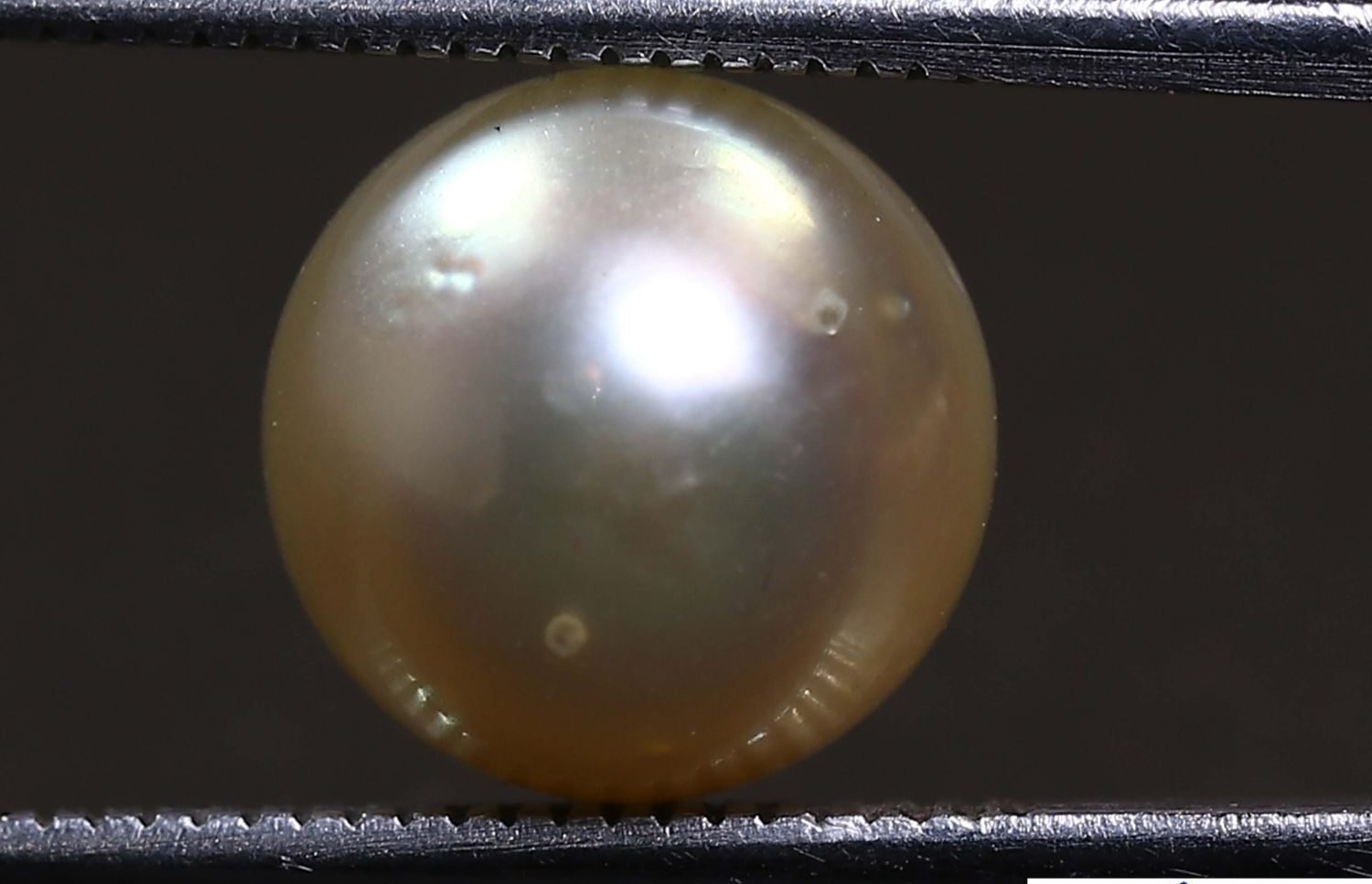 PEARL 5.65 Ct.