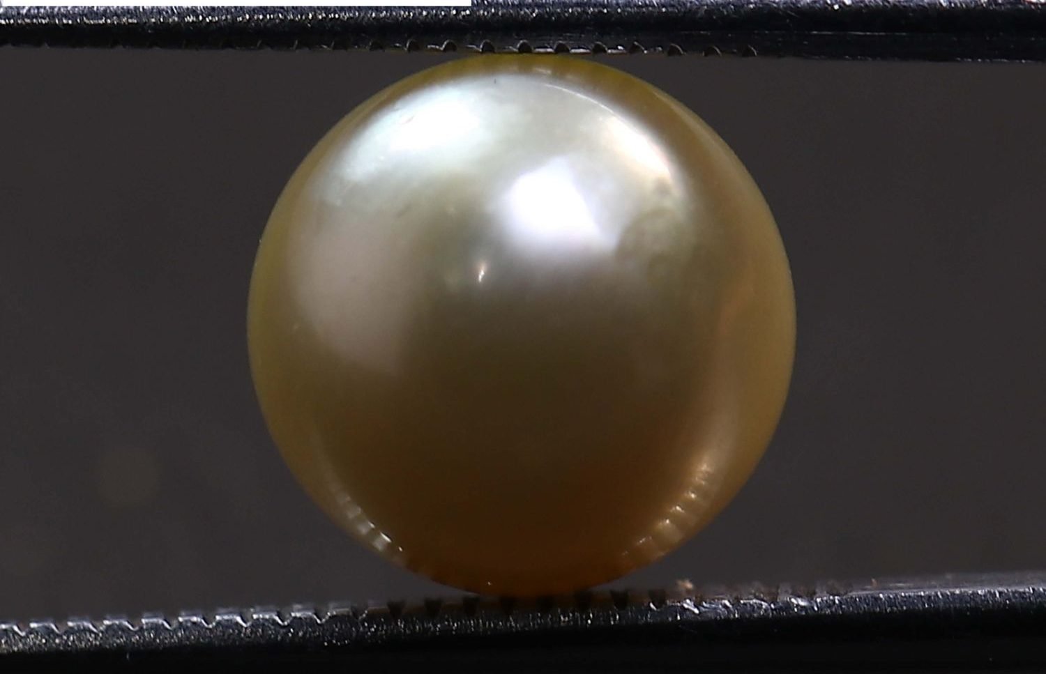 PEARL 5.66 Ct.