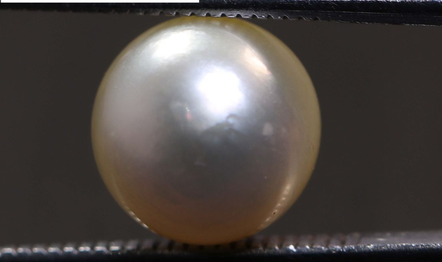 PEARL 5.73 Ct.