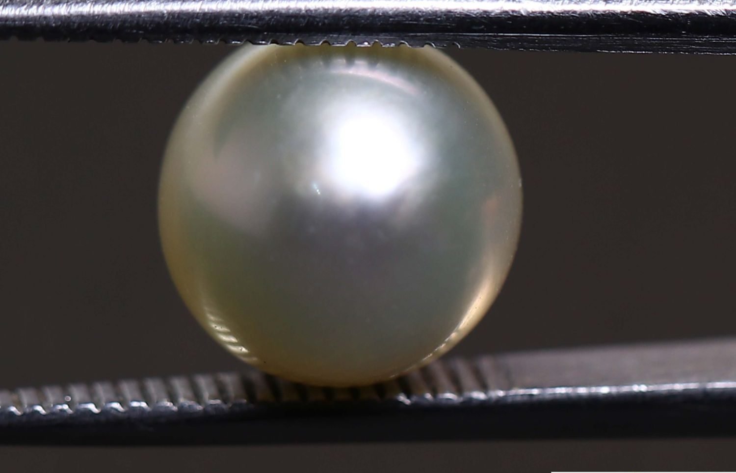 PEARL 5.74 Ct.