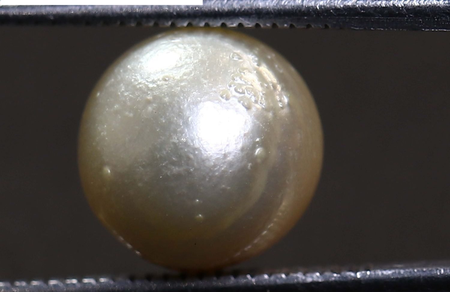 PEARL 5.75 Ct.