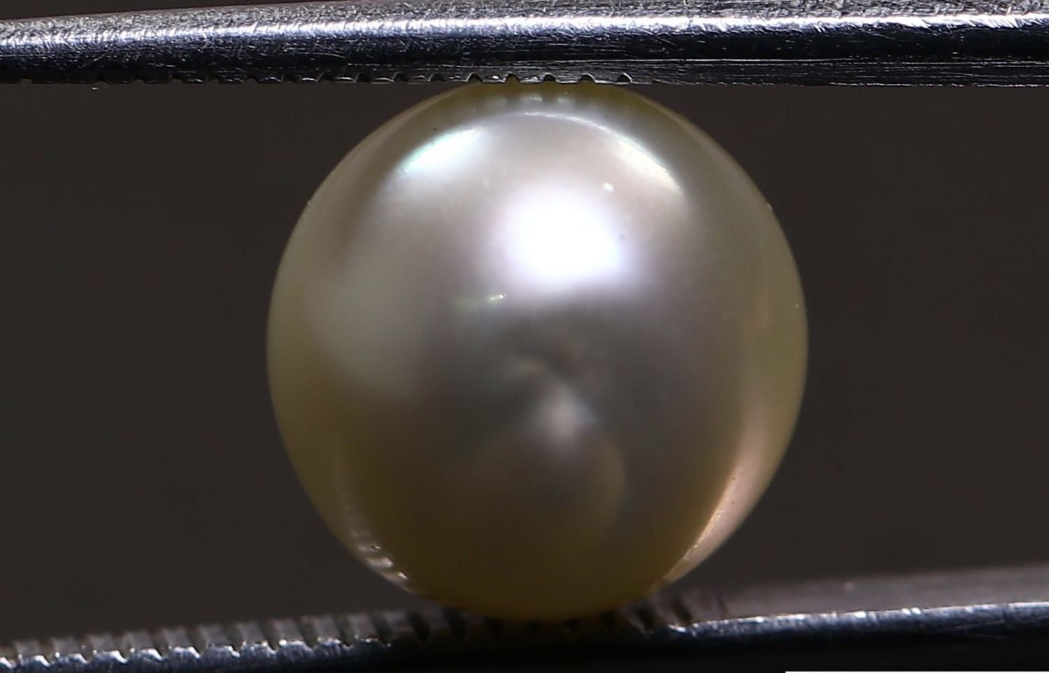 PEARL 5.8 Ct.