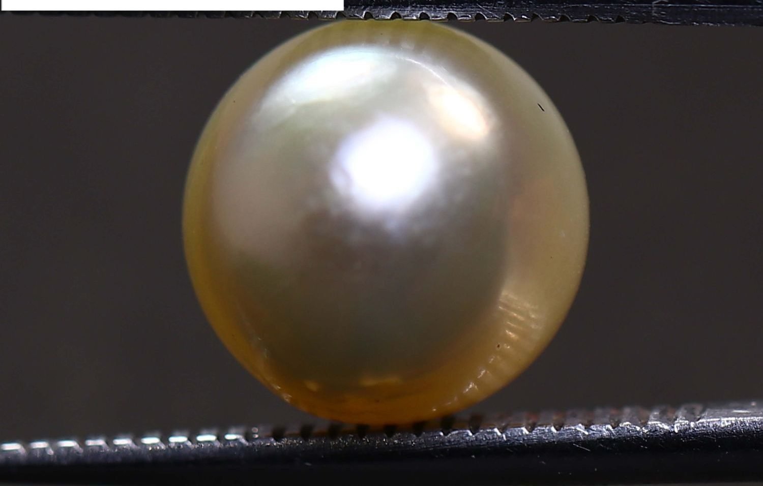 PEARL 5.81 Ct.