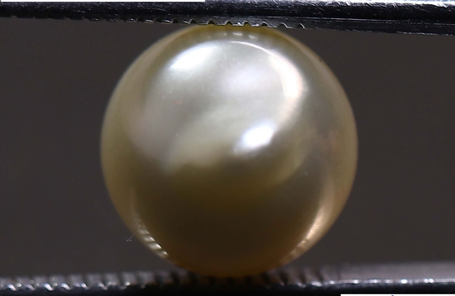 PEARL 5.92 Ct.