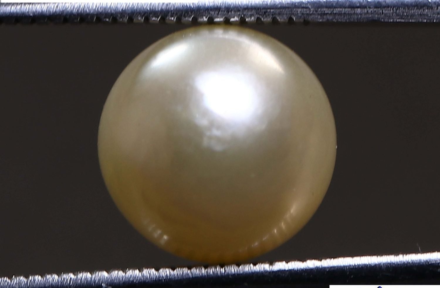 PEARL 6.2 Ct.