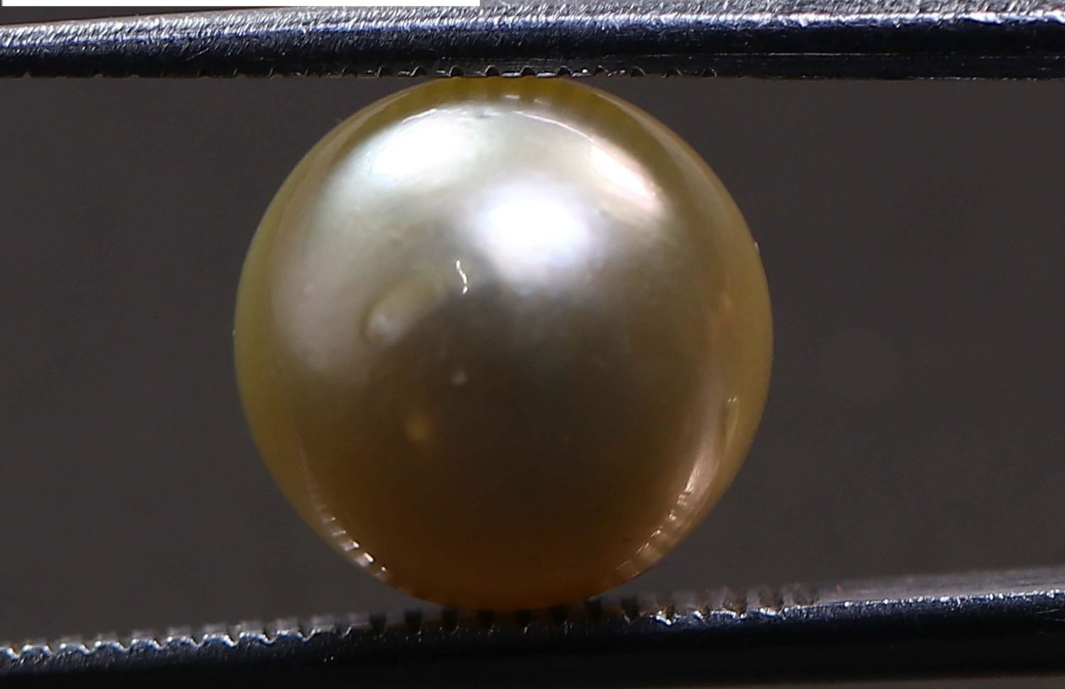 PEARL 6.23 Ct.