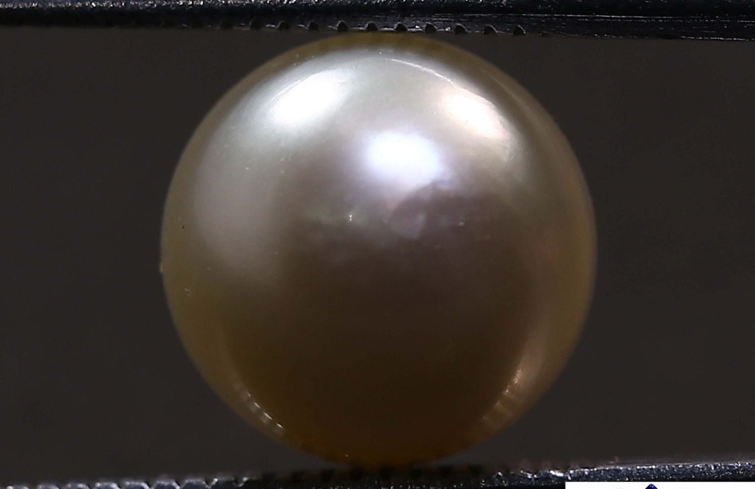 PEARL 6.27 Ct.