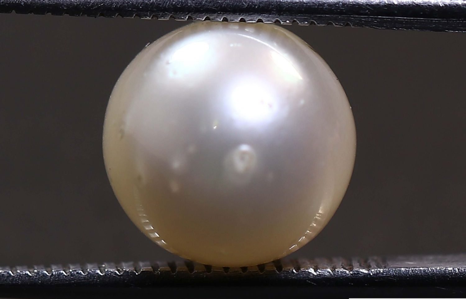 PEARL 6.27 Ct.