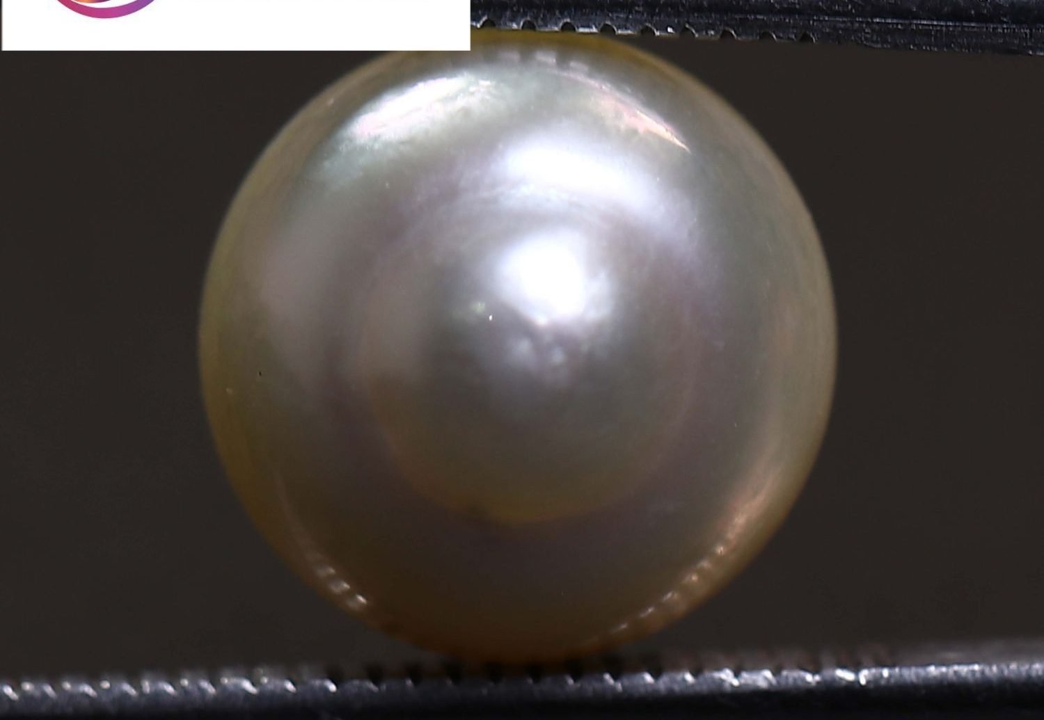 PEARL 6.65 Ct.