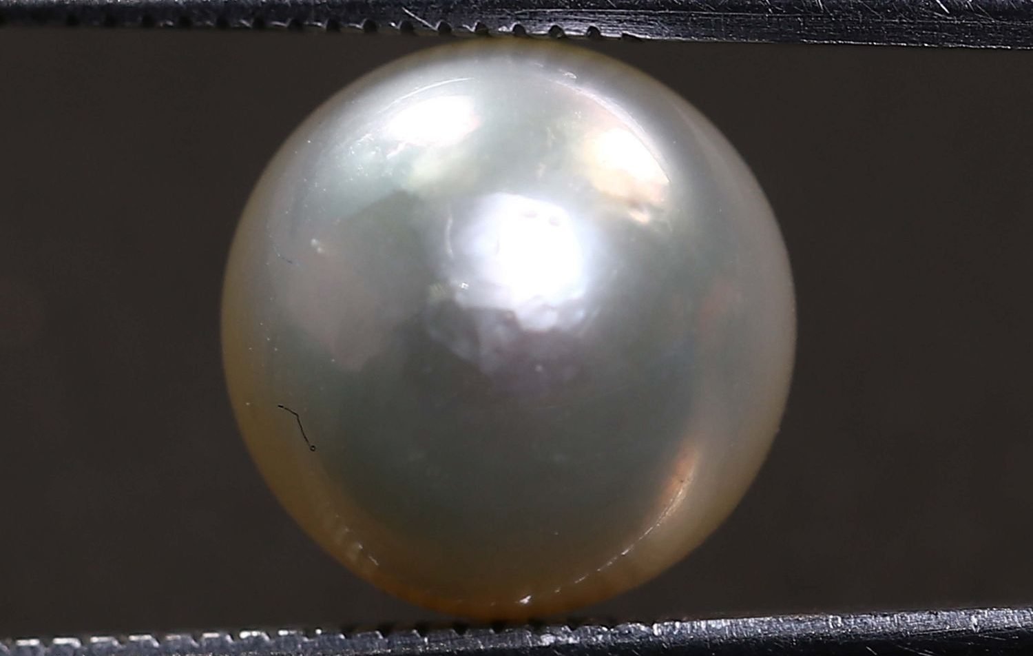 PEARL 6.71 Ct.