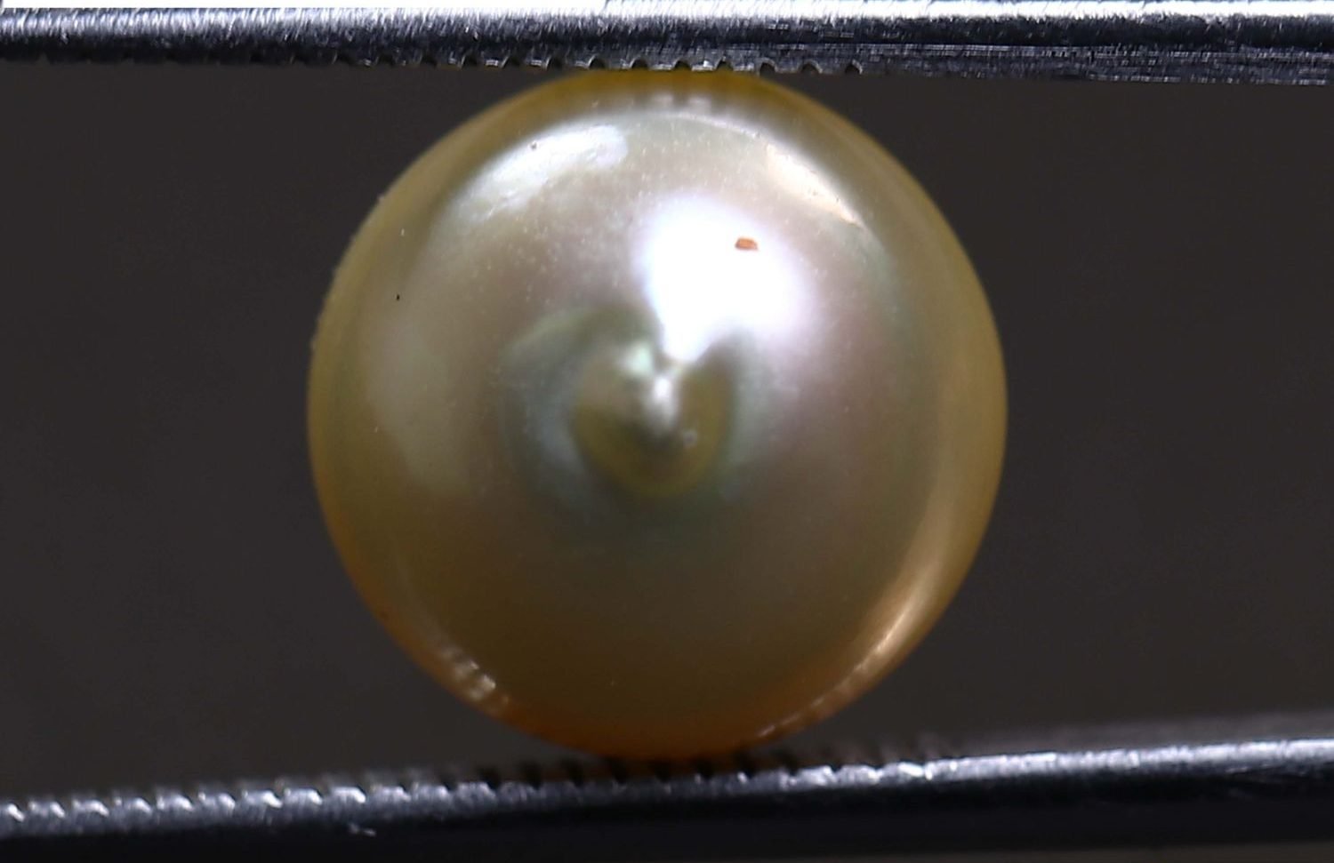 PEARL 7.37 Ct.
