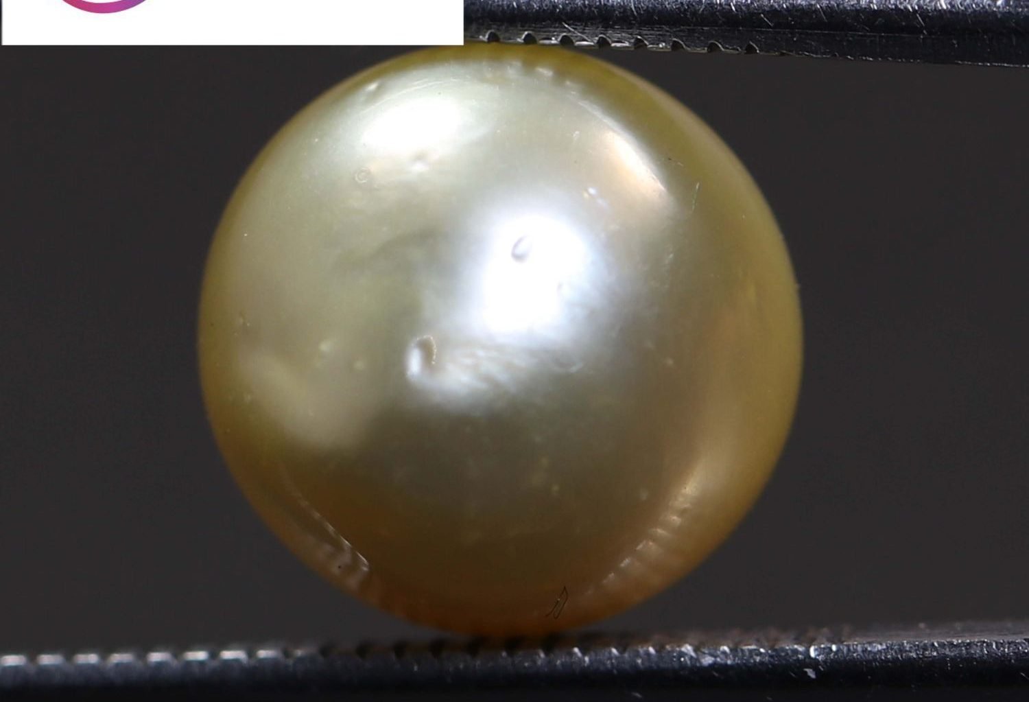PEARL 7.47 Ct.